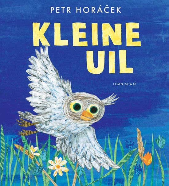 Kleine uil - Petr Horacek